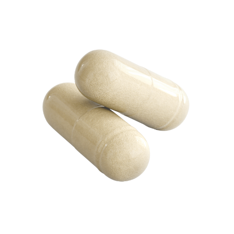 Gut Biome Daily