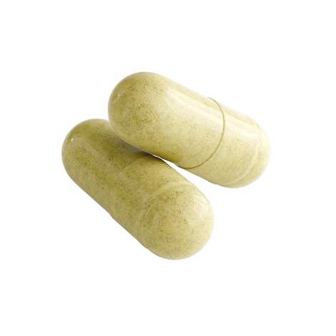 Cellular Renewal NAD+